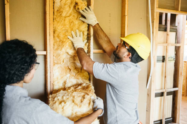  , MO Insulation Pros